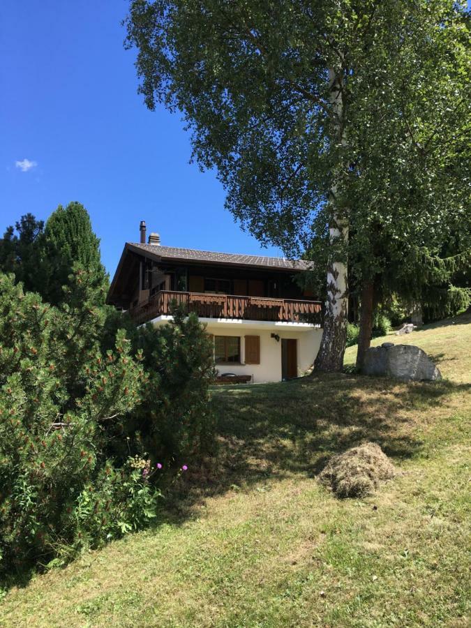 Ferienwohnung Im Chalet Firn - Og Burchen Екстер'єр фото